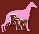 Fashion Whippet